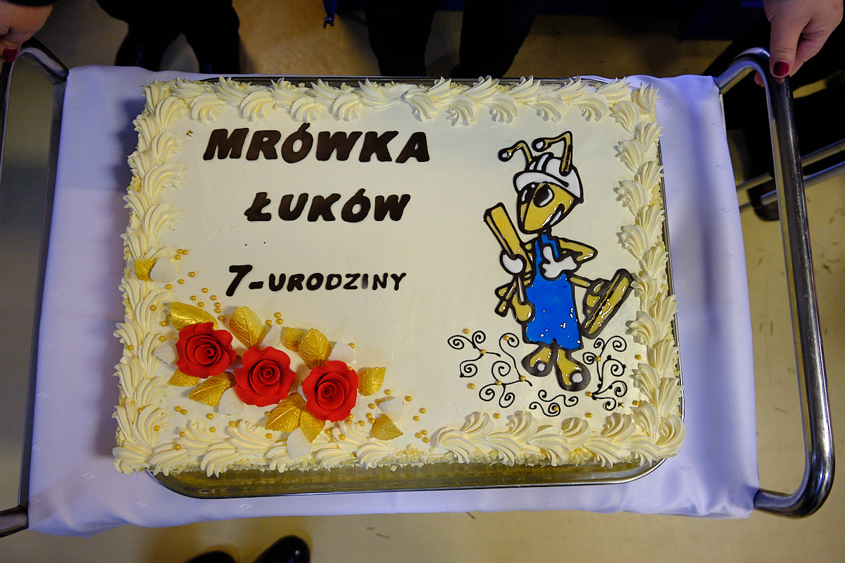 Tort na 7 urodziny PSB Mrówki w Łukowie